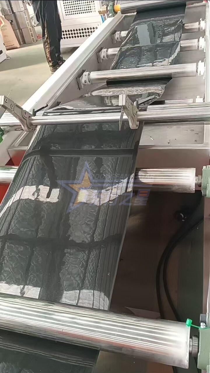 Zákazník navštěvuje továrnu Qingdao EASTSTAR na zkušební provoz na místě výrobní linky PP/PS sazenic